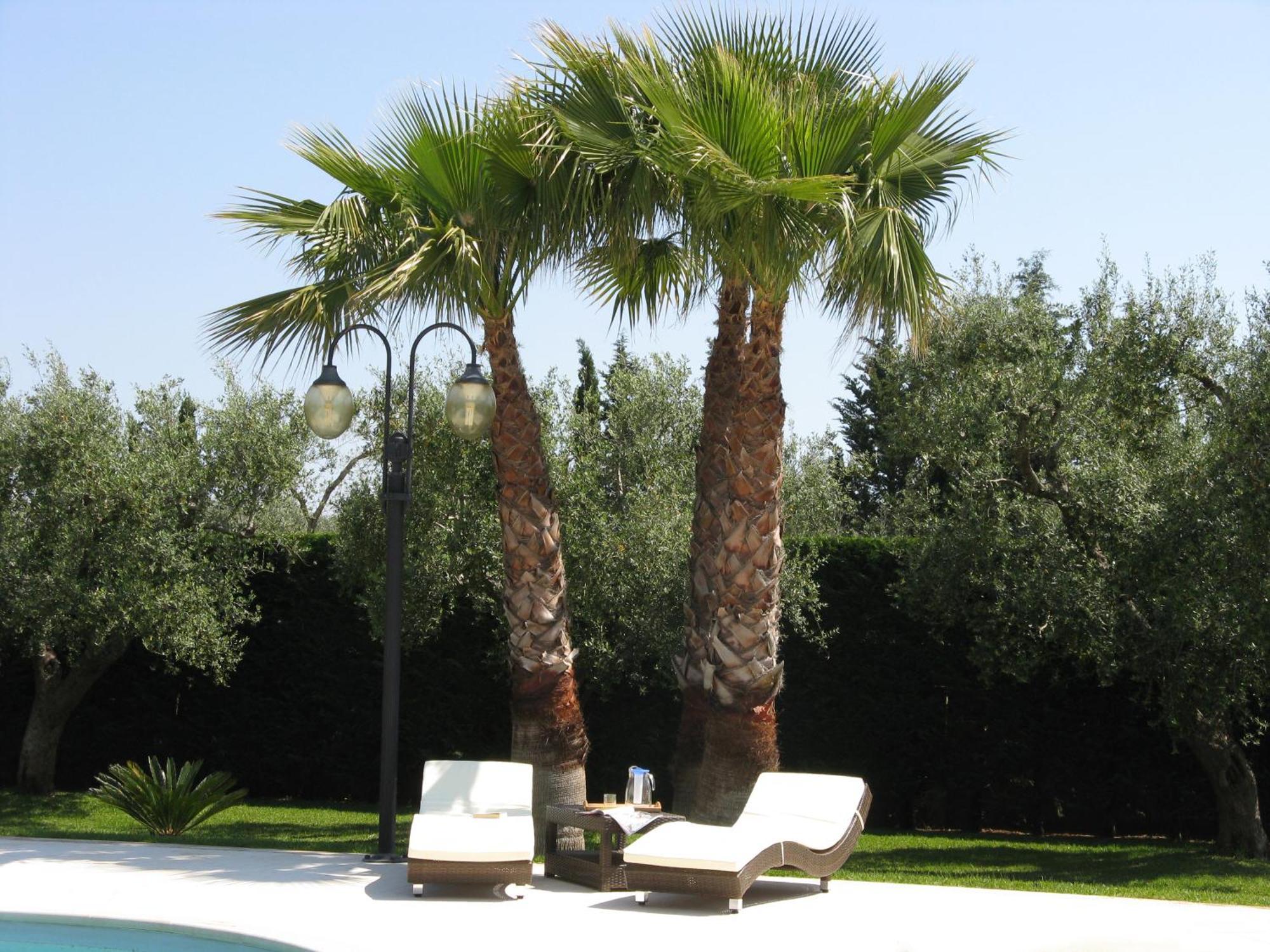 B&B Villa Vittoria Maglie Exterior photo
